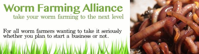 Join the Worm Farming Alliance and get the mentoring you need to succeed