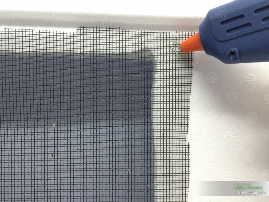 Cutting ventilation holes in a styrofoam worm bin