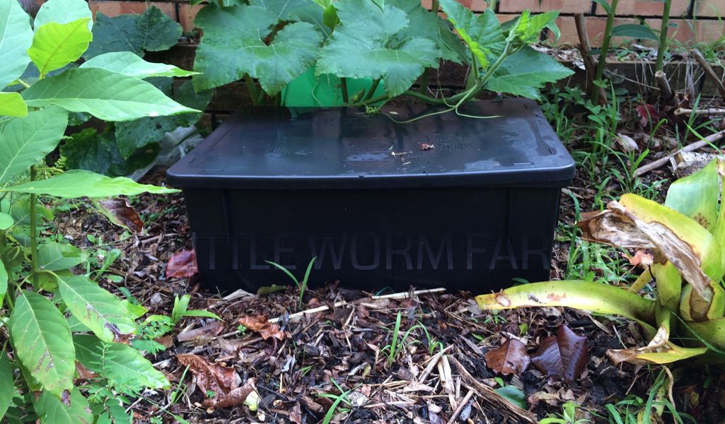 The Best Worm-Friendly Worm Bin for Composting