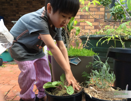 Organic Gardening FullSizeRender.jpg