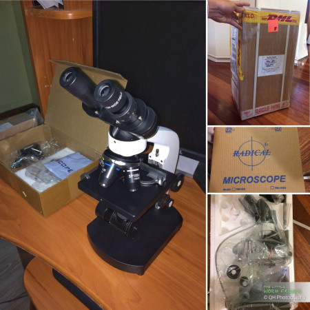2000x compound microscope for compost tea microbiology assay