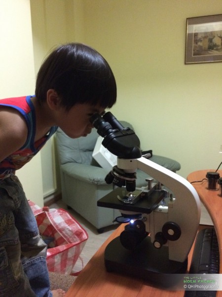 my boy looking through a microscope