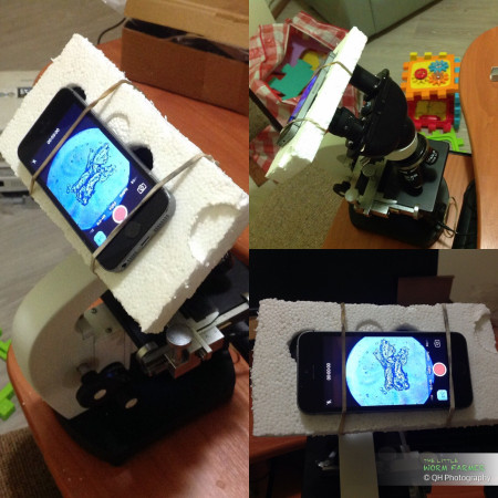 DIY homemade iPhone microscope eye piece adapter