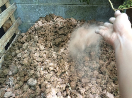 Sprinkling-Zeolite-rock-dust-on-horse-manure.jpg