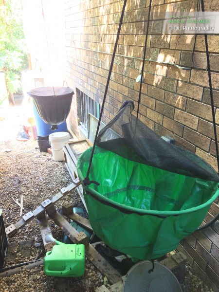 The Urban Worm Bag: a new worm bin is born, it's exciting! @ The Little  Worm Farm